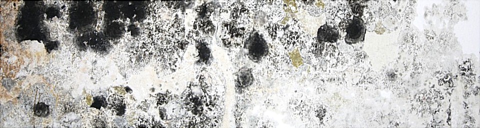 Schimmelprüfung, Michael Eschenbrücher, Innenraumanalytik